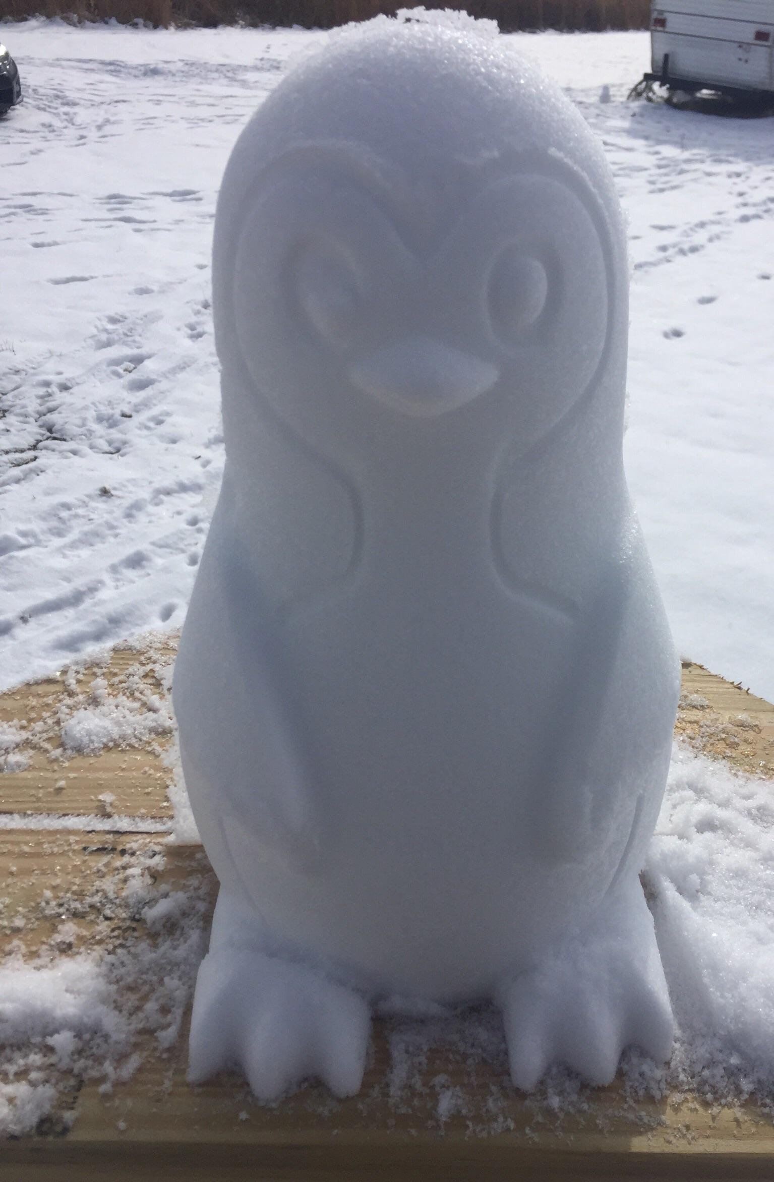 Having so much fun playing outside in the snow this morning and I MADE A SNOW PENGUIN! There is now a mini army of Snow Penguins in my yard, hehe. 