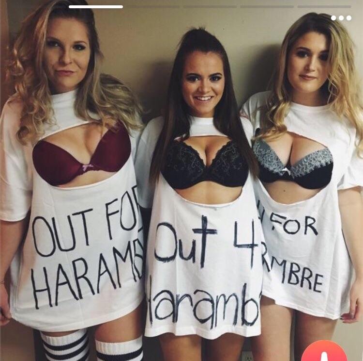 Discovered this one on Tinder