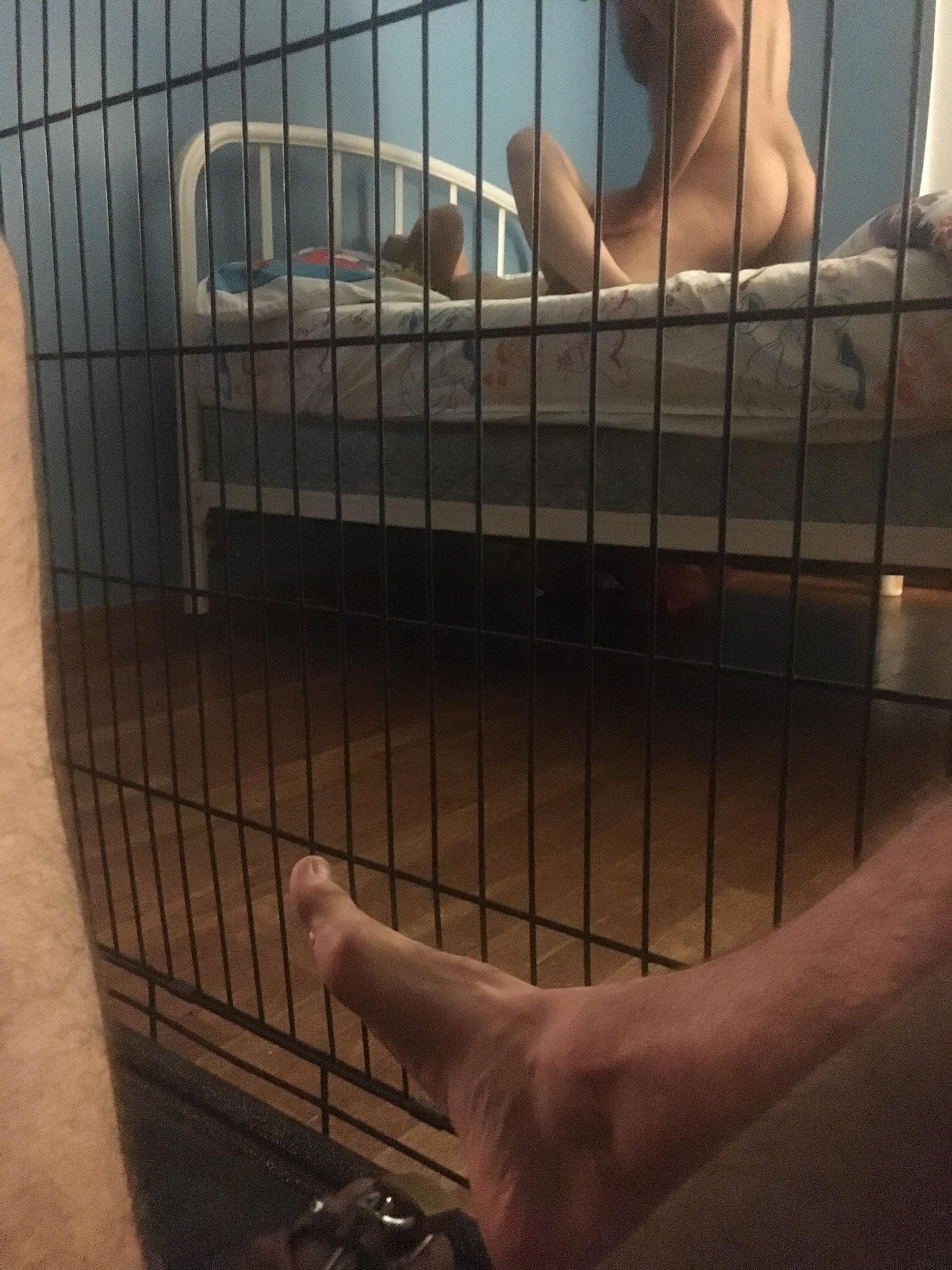 Dog cage and chastity while someone fucks my wife