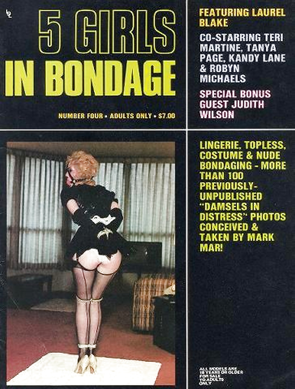 My Vintage Bondage Magazines (covers )