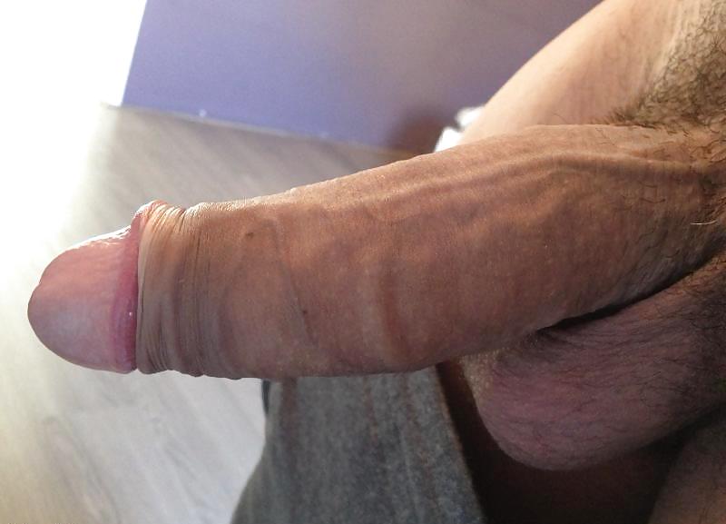 My Cock 4 you