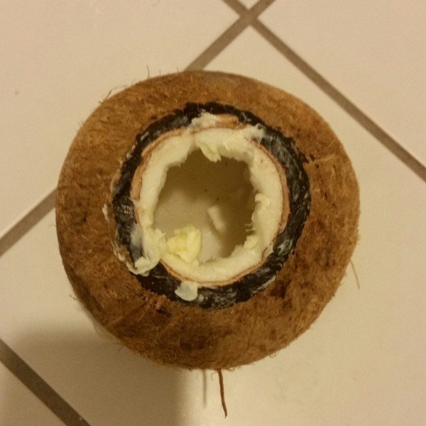 [Proof] Fuck a coconut (xpost /r/FoodFuck)
