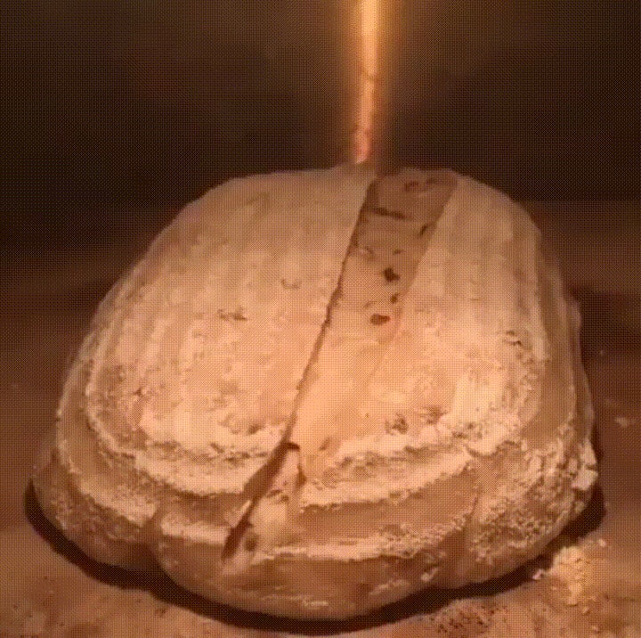 This bread