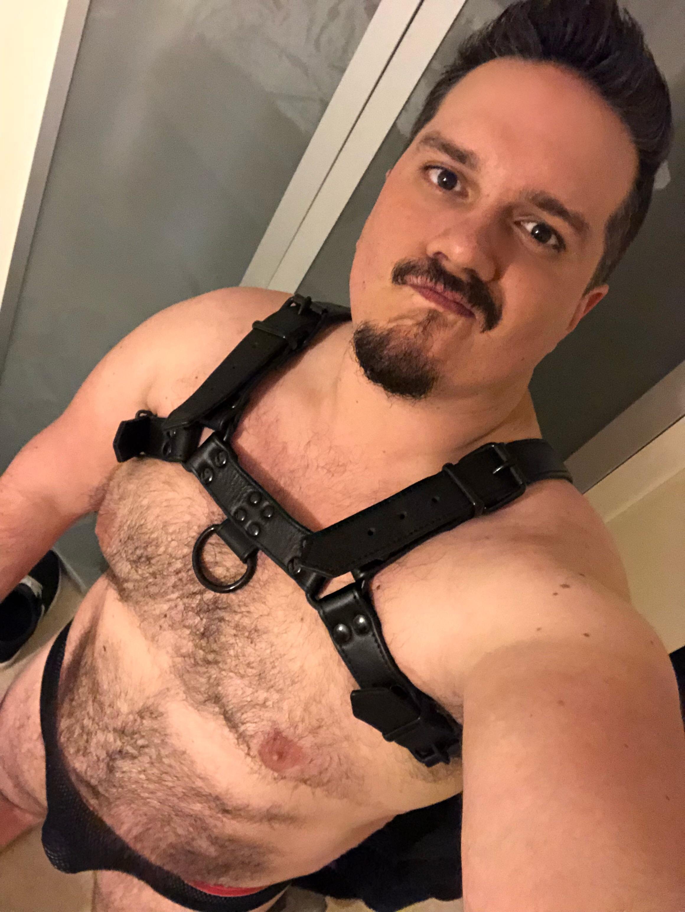 Loving my new harness!!!
