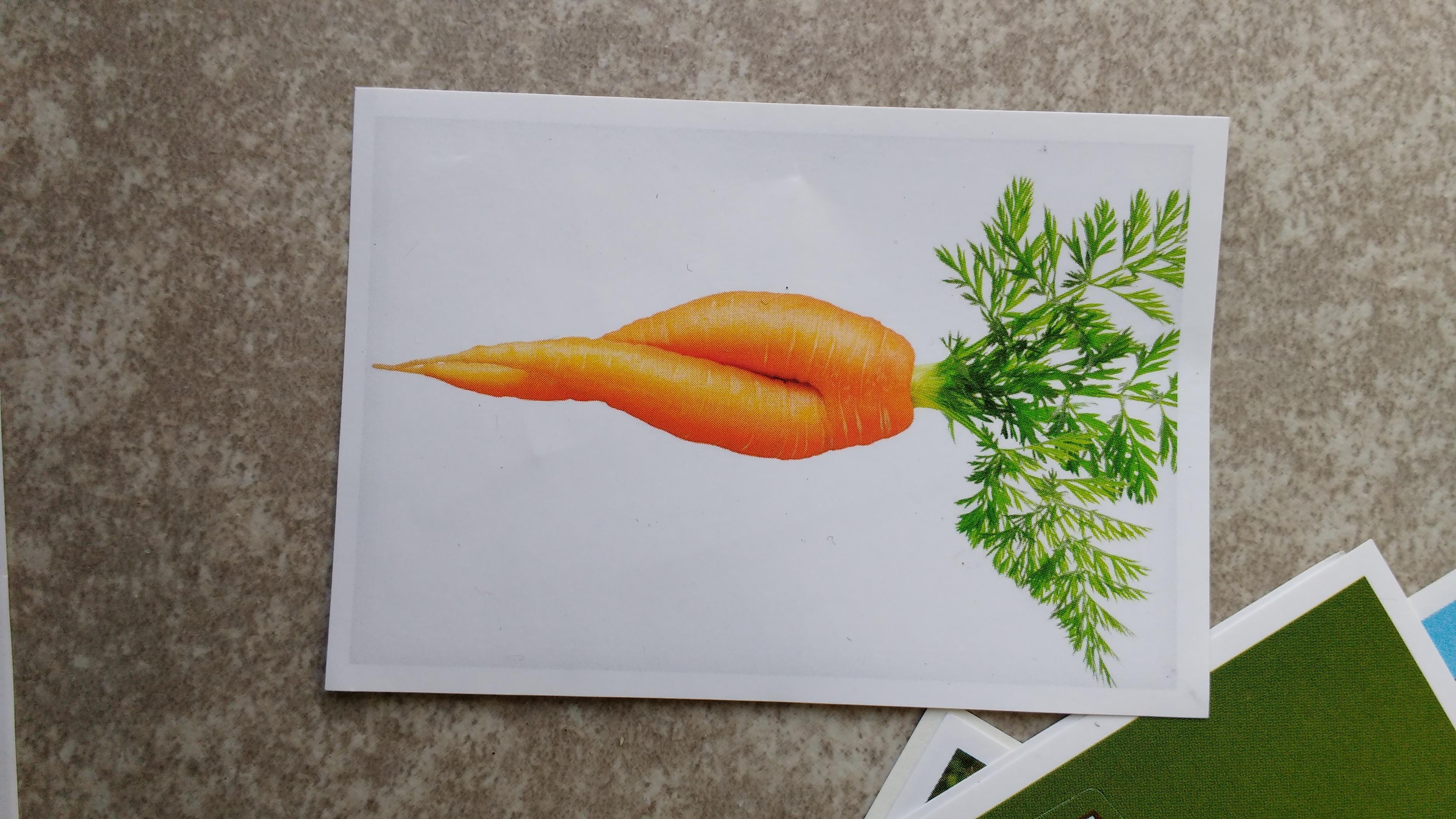 This picture of a carrot