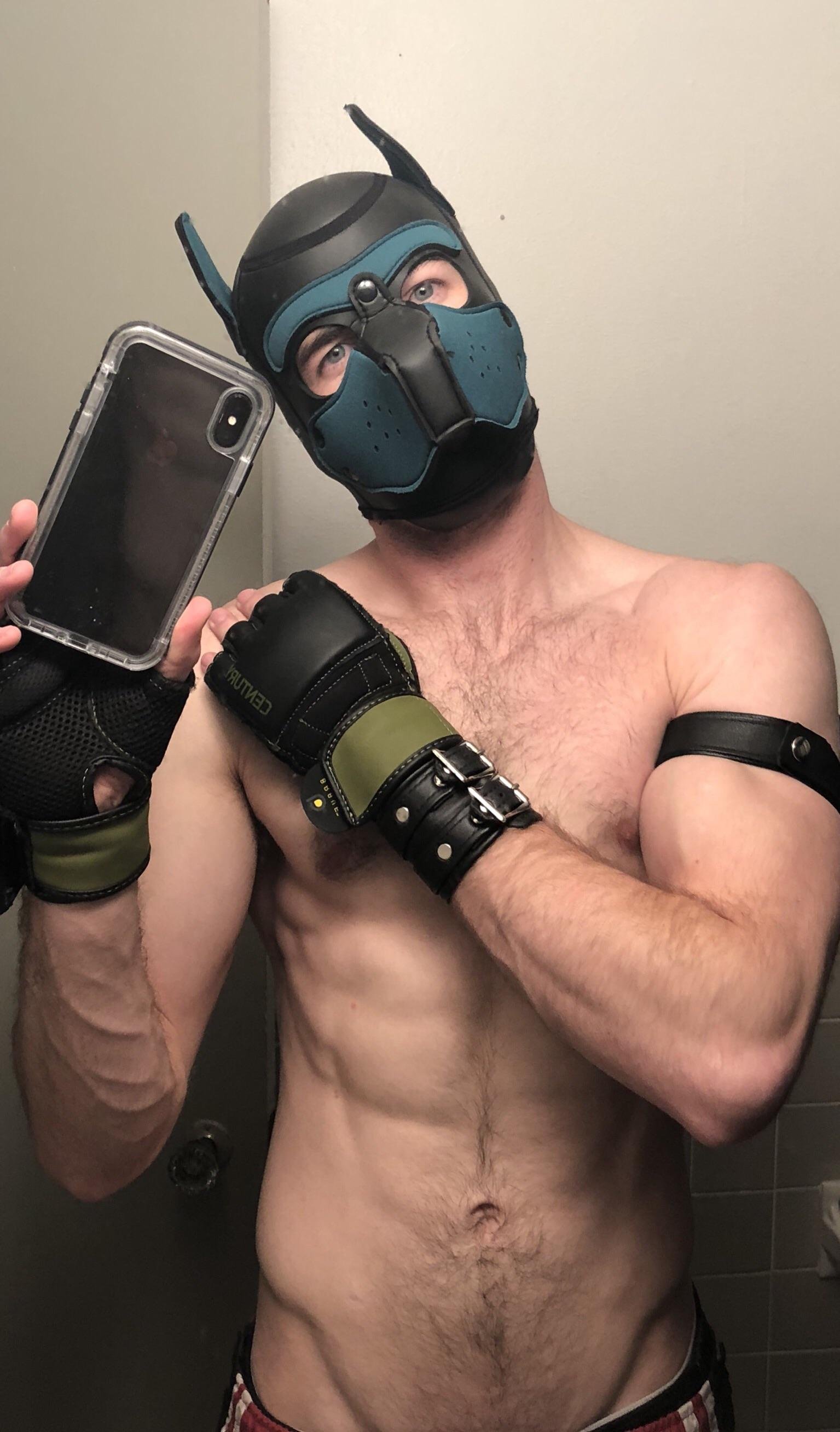 Woof! Sir is letting me wear His wristcuff and armband. Pup is happy! What do you think?