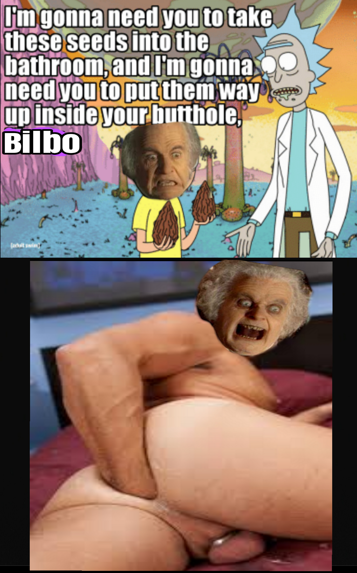Rick and Bilbo go through customs