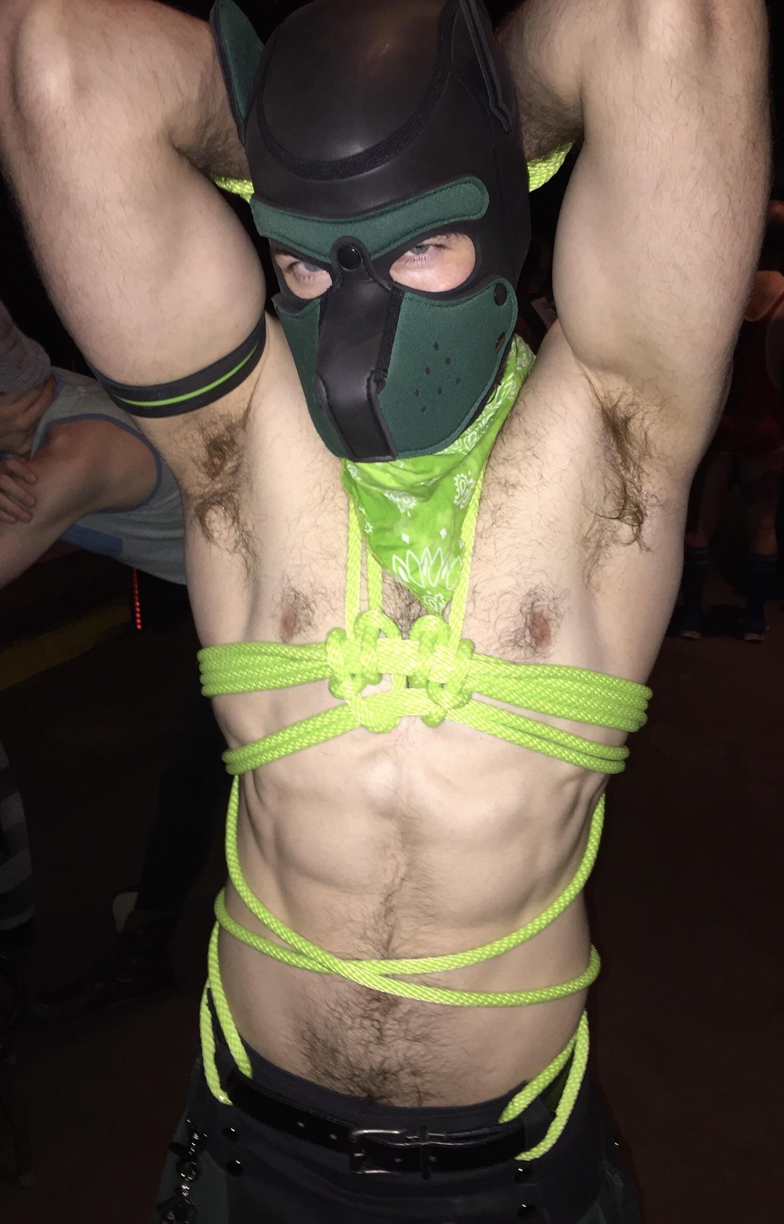 Just a cute rope puppy