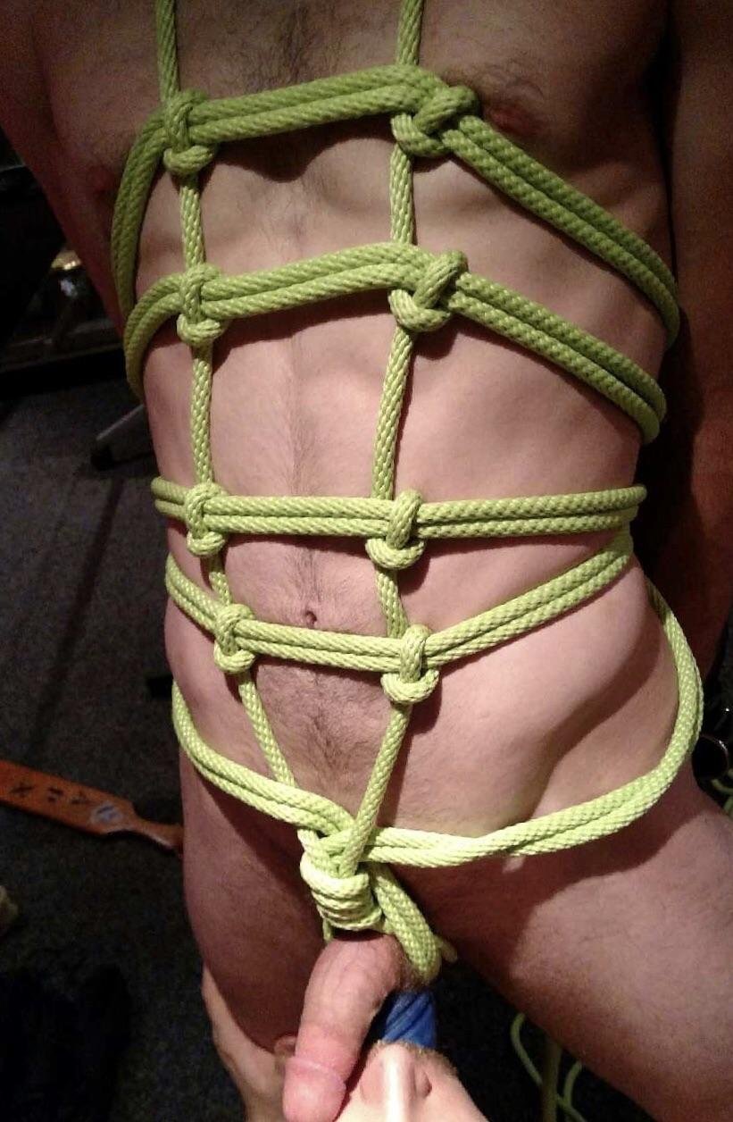 Playing with the tied up puppy
