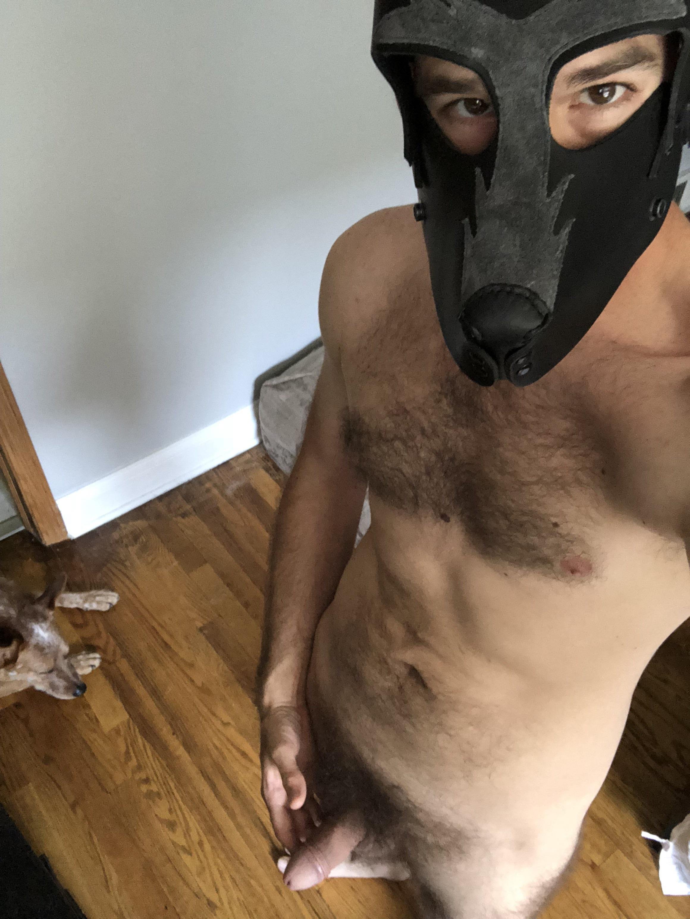 Laundry day. Puppy has no clothes.