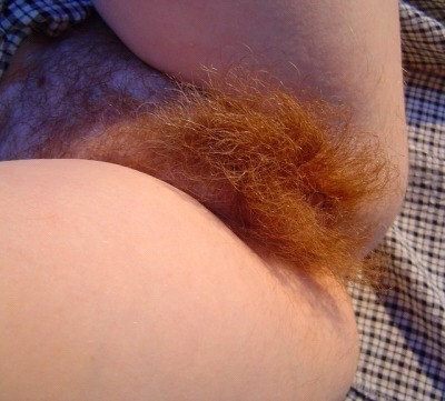 grugg802: perfectbearlover: Hairy red! Grwoth in red