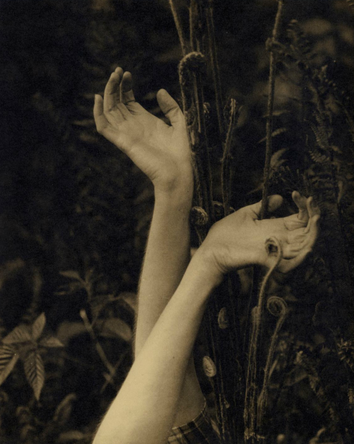 dame-de-pique: Edward Steichen - Dana’s hands, c.1923 