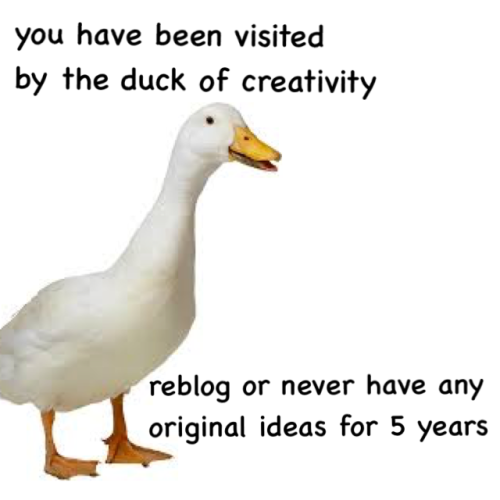 laderdesders1: fitmaree: Can’t risk it The duck of creativity. I waited so long for it. 