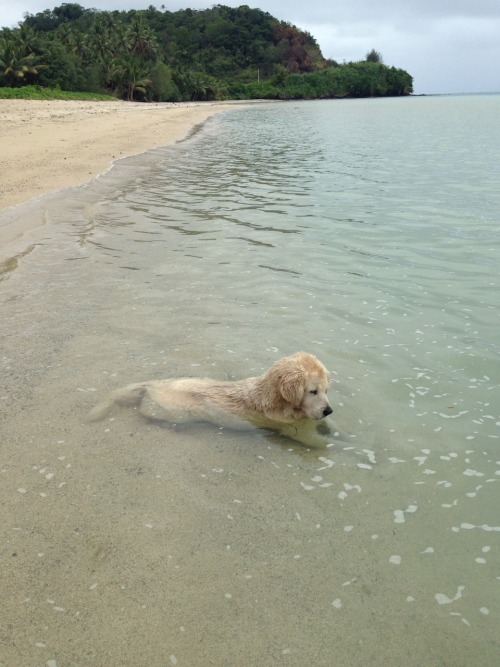 m-ooonn:she sat in the water for like an hour, just staring at the water peacefully 