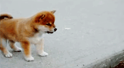 64bitwar: this is stomp dog it shows up to stomp away sadness
