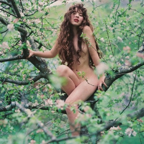 myalaparisienne: Eve, in the Apple tree???