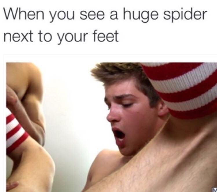 Damn spiders.