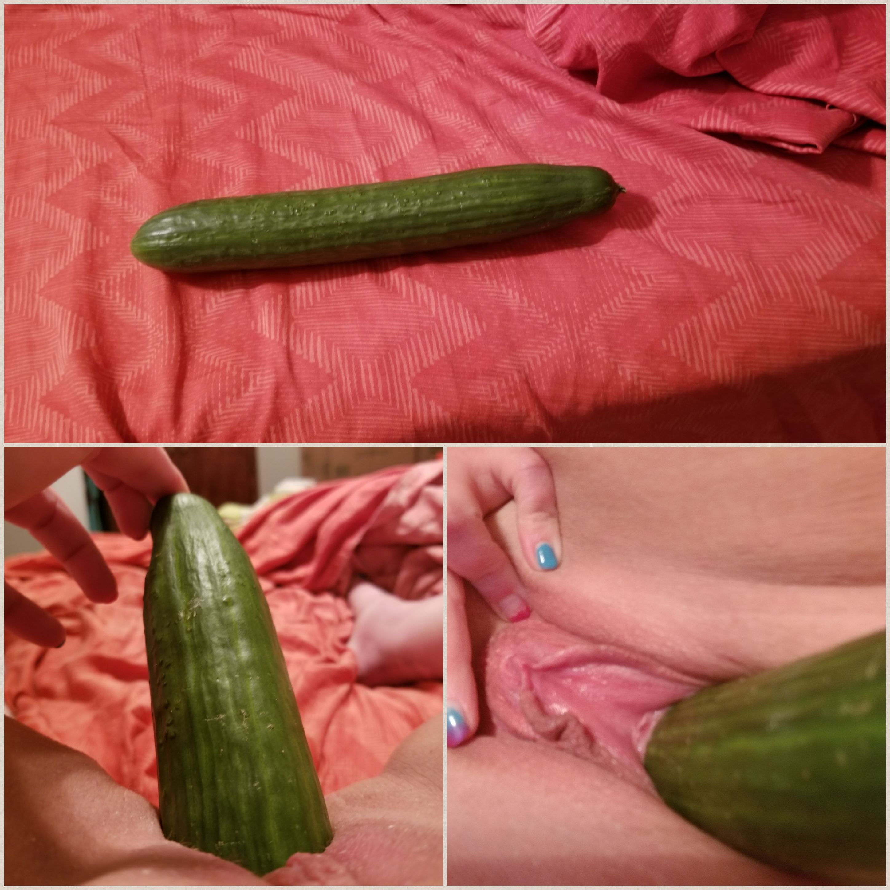 Common cucumber...as requested