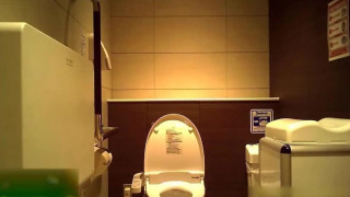 Chinese_WC_2