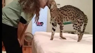 #all queue can eat #video #animals #oh my god the bird ones    ?? :
I loved so many of the cute animals on vine……
this is my favorite vine comp of all time