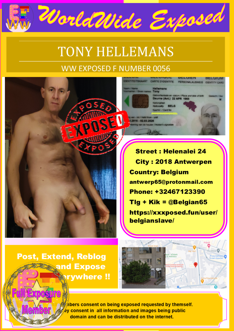 0056 – Tony Hellemans