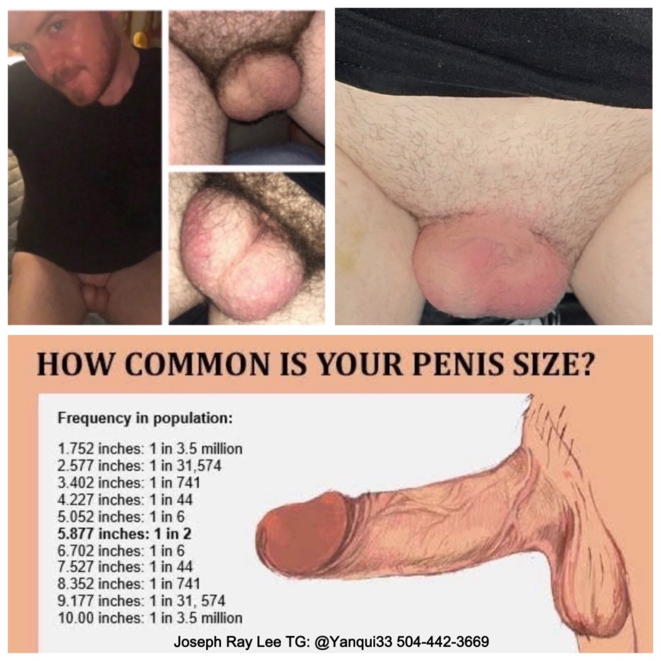 Dickless fag Joseph Ray Lee