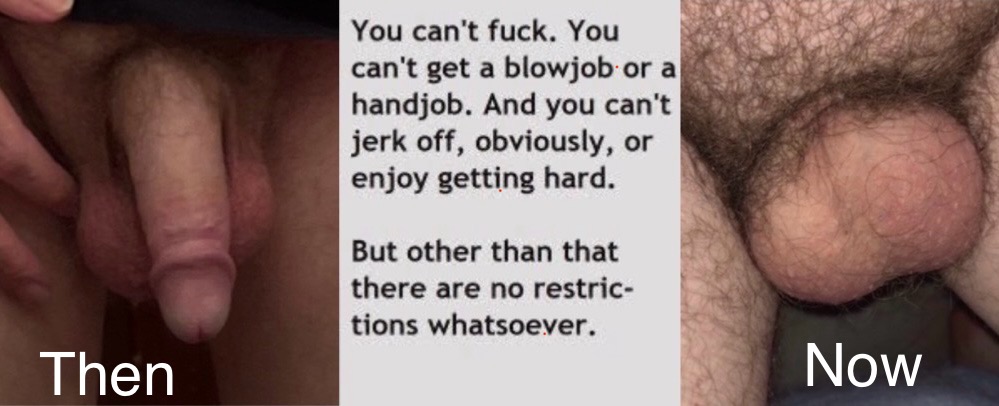 Dickless Fag Joseph Ray Lee chastity 
