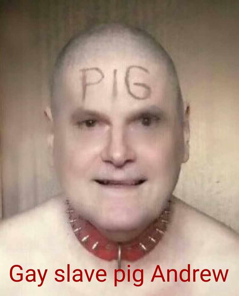 naked toilet slave pig andrew