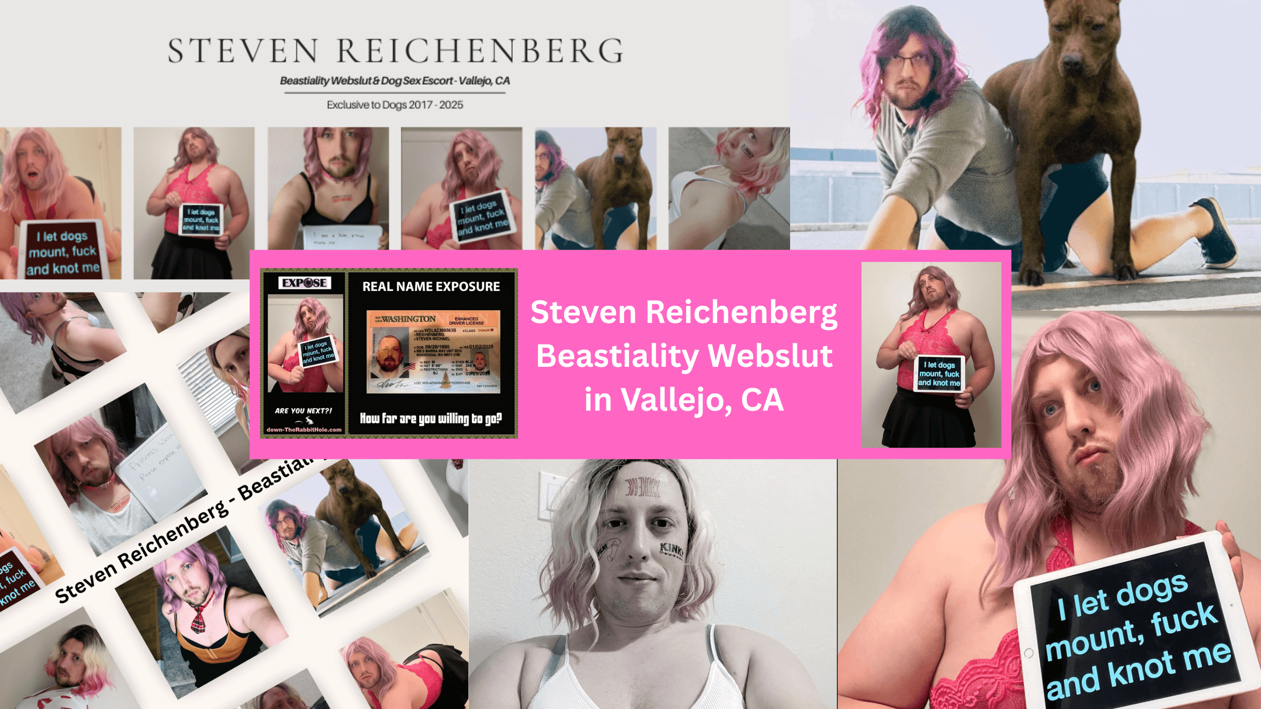 Steven Reichenberg Vallejo, CA Beastiality Webslut