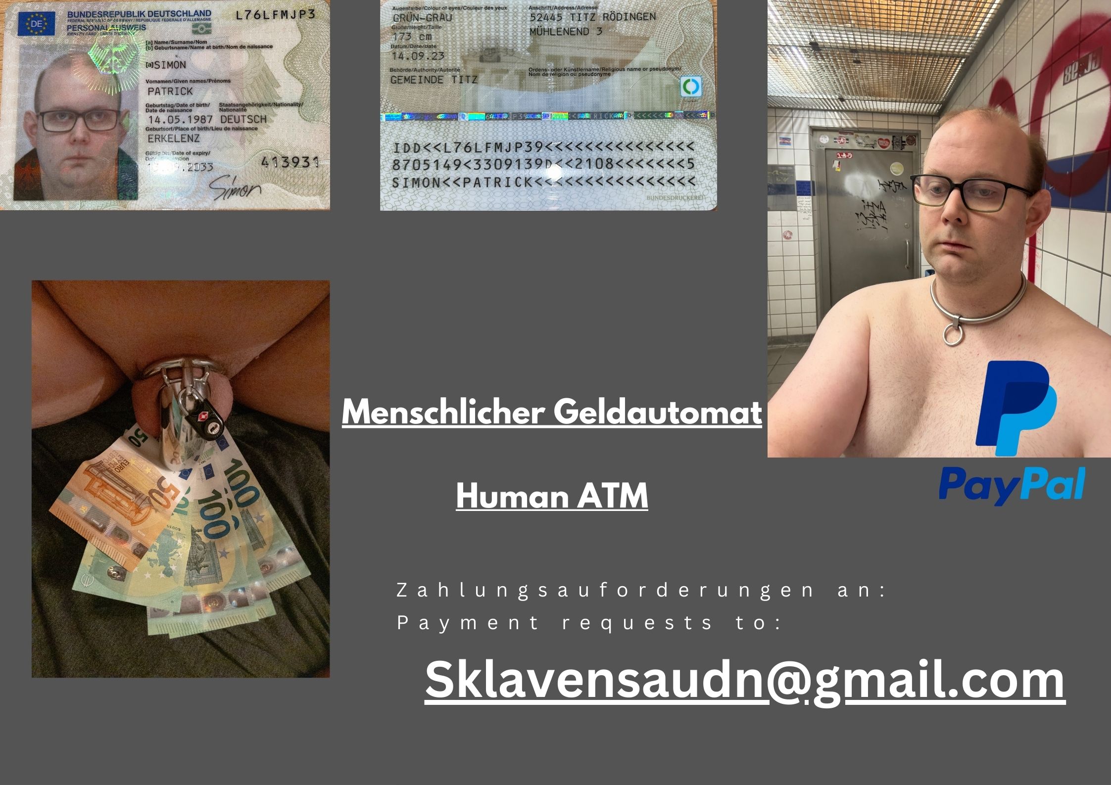PayPig Patrick Simon
