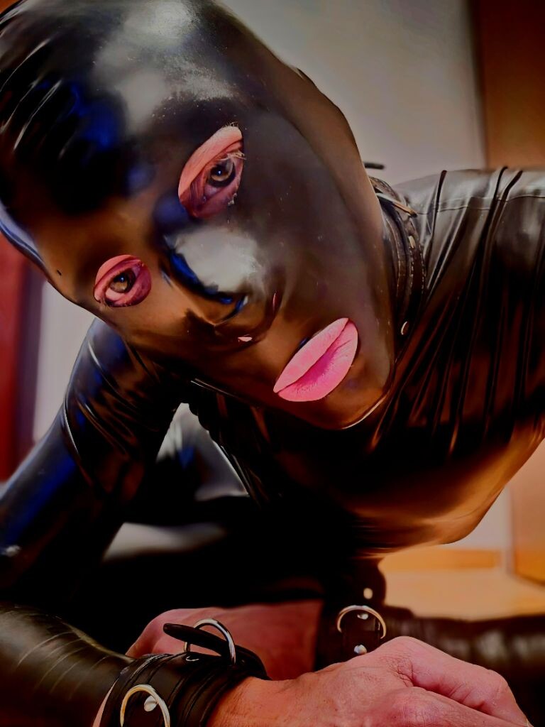 latex gimp