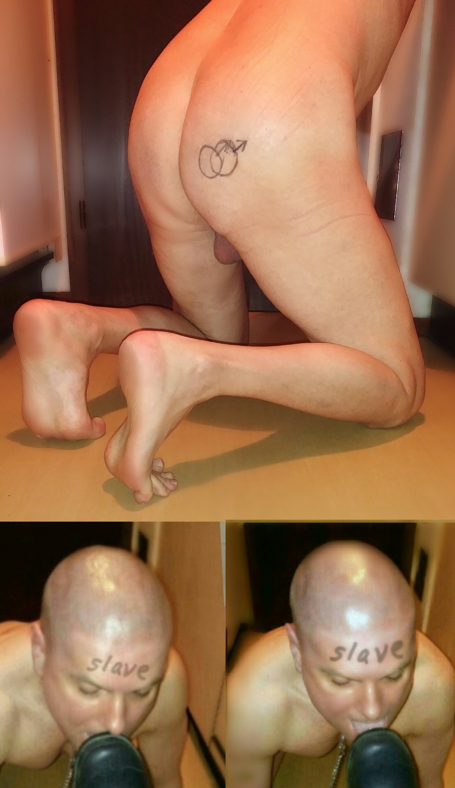 Gay slave ass for whipping and punishment