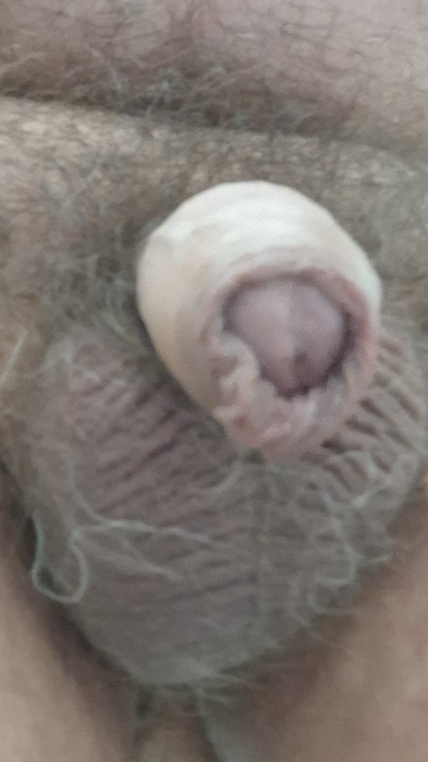 Mein kleiner Pimmel 