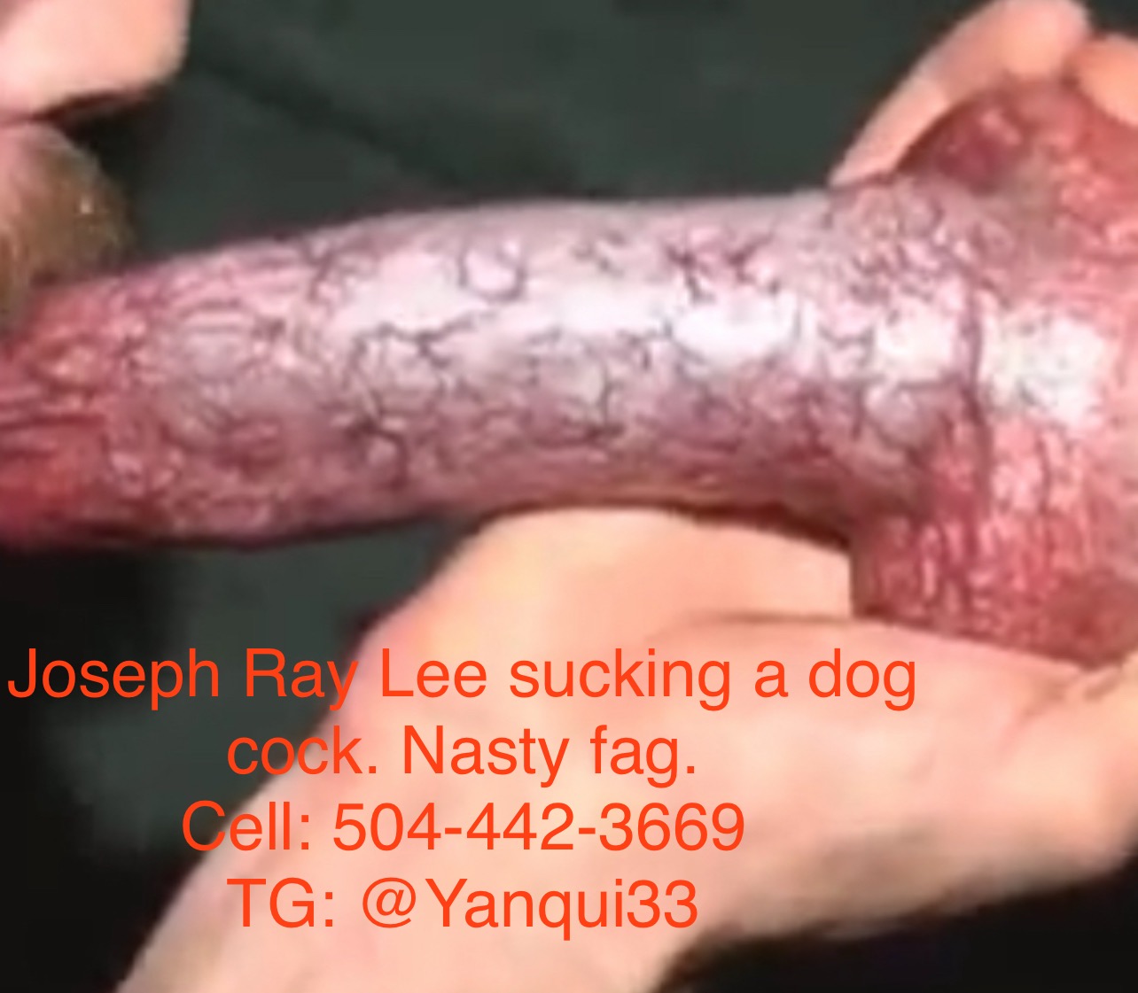 Fag Joseph Ray Lee suckin dog cock 