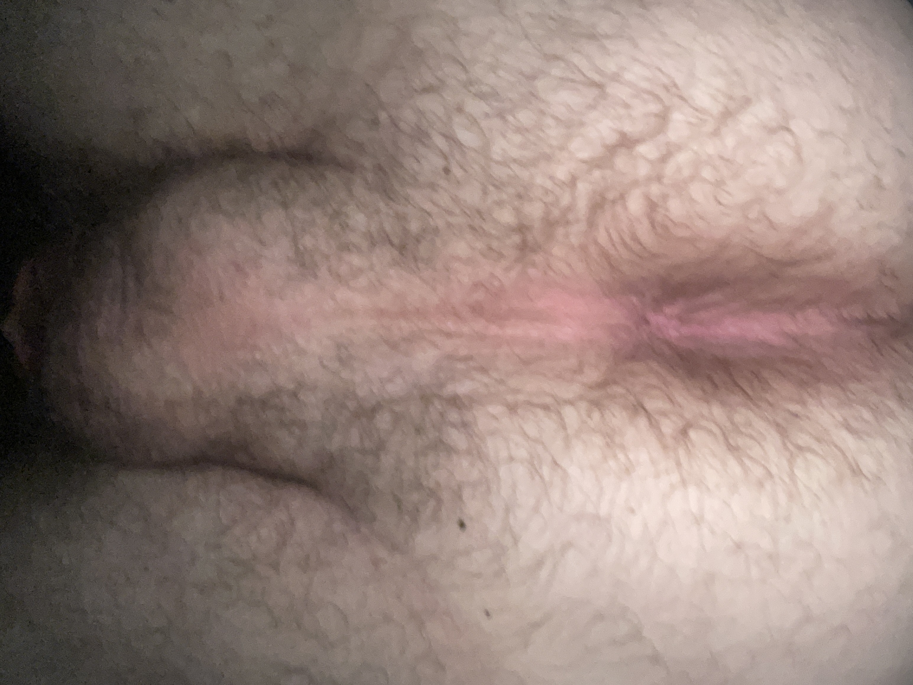 Joseph Ray Lee well bred pussy 