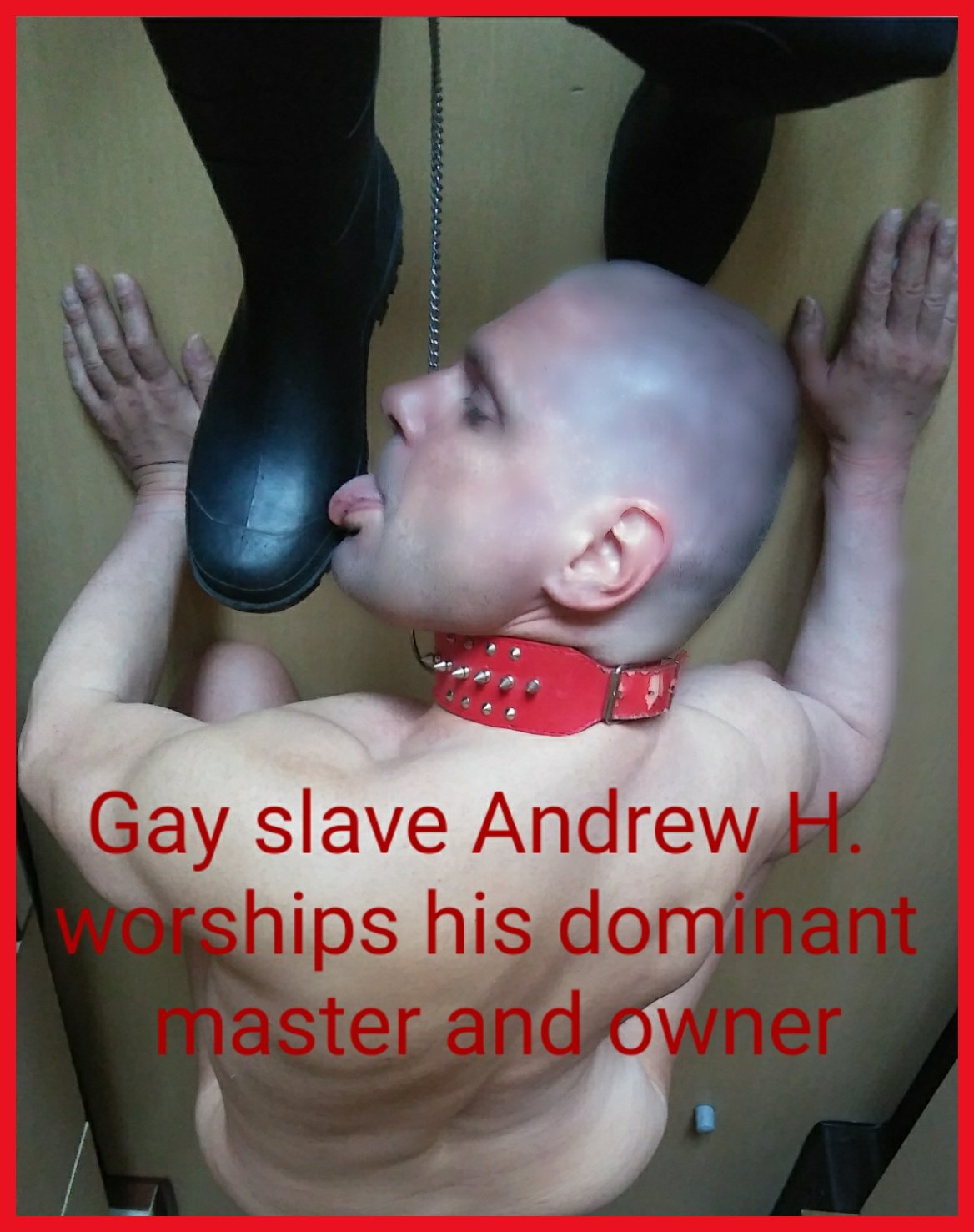 exposed faggot andrew h public humiliation
