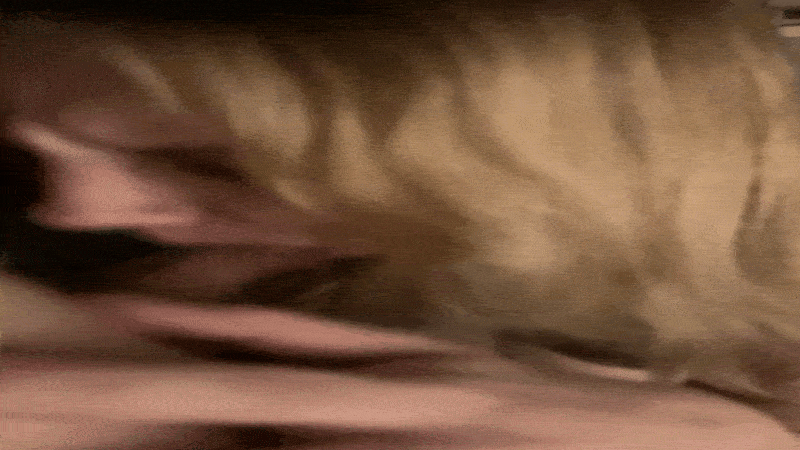 Stella Kunz Marburg Psychology Student 