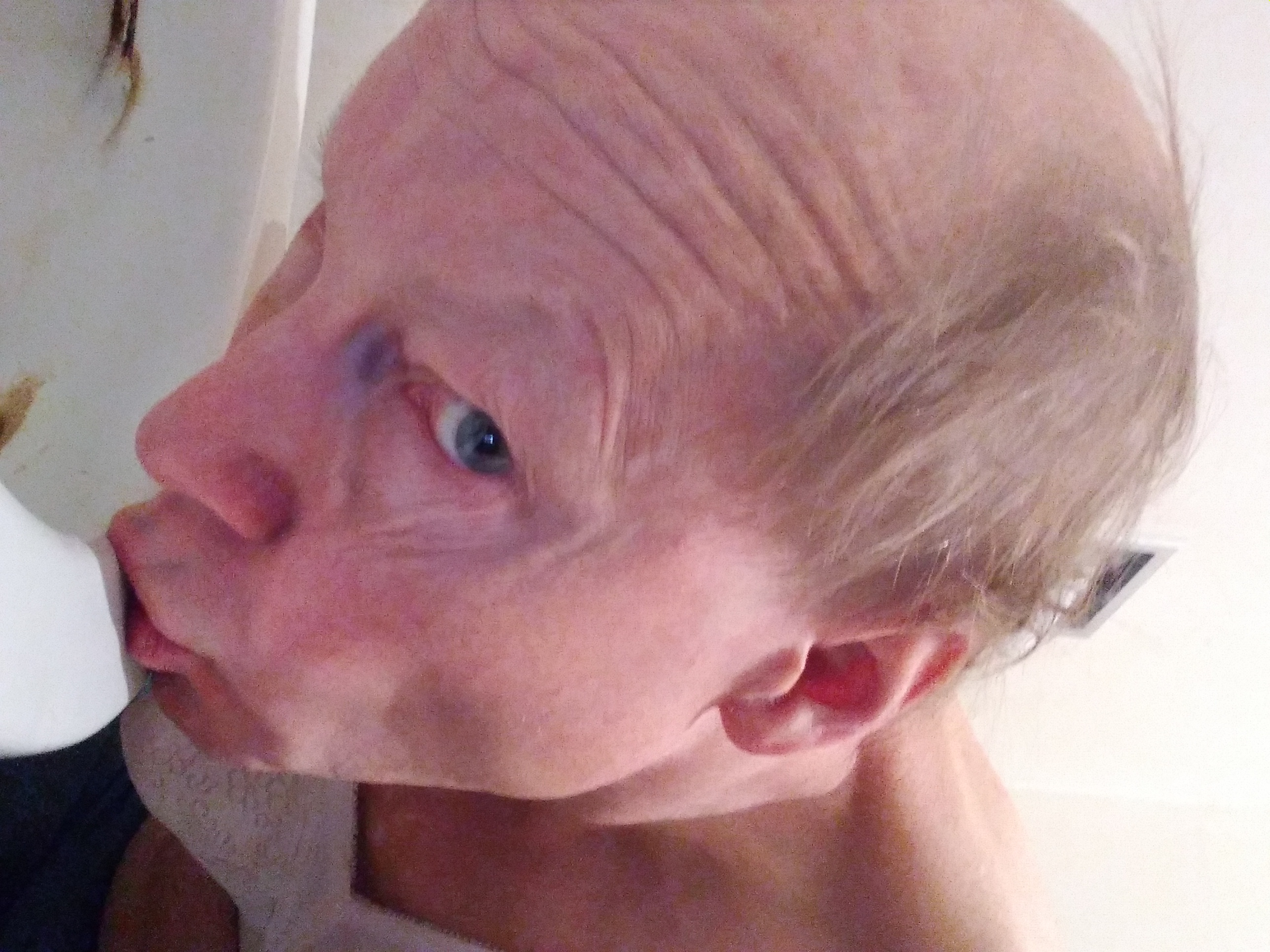 Toilet Kissing Sissy Faggot Bob Sodergren 253-228-5469 .jpg