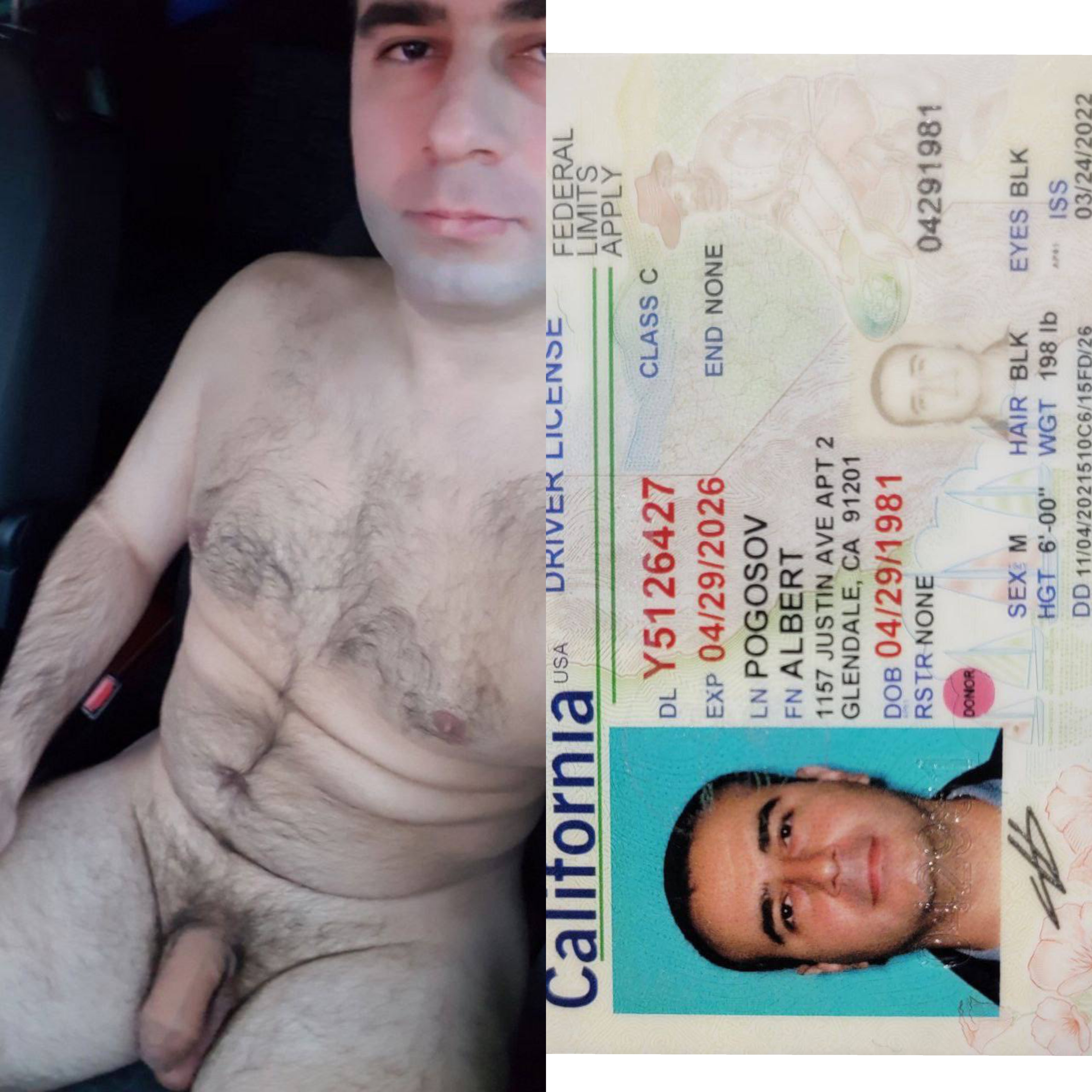 Albert Pogosov telegram: @Newtel8