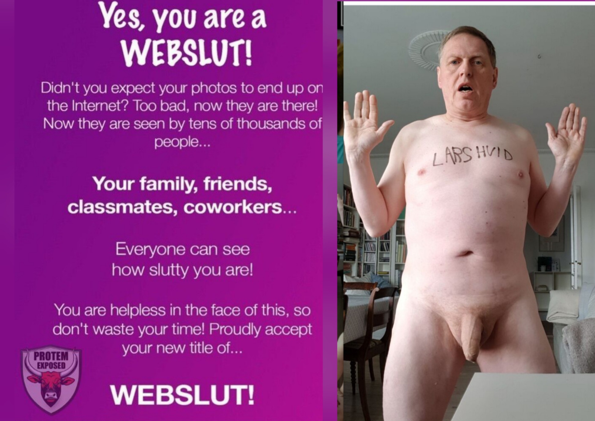 webslut fag Lars Hviid