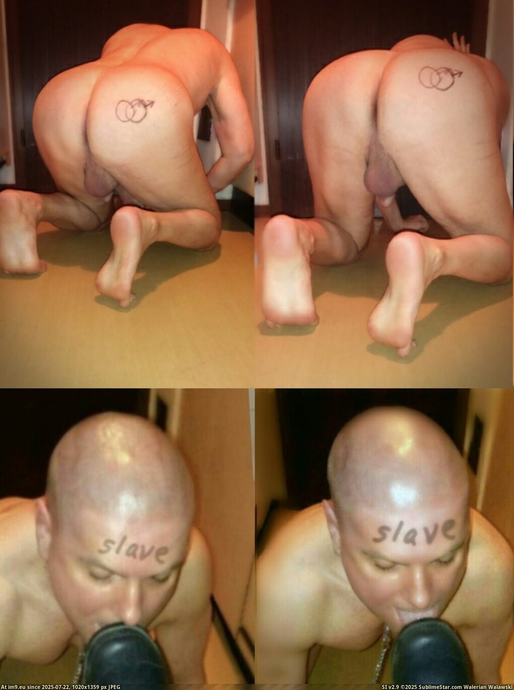 andrew die nackte schwanzgeile arschfotze leckt