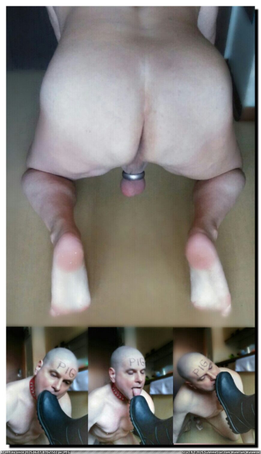 andrew die immer geile schwule arschfotze