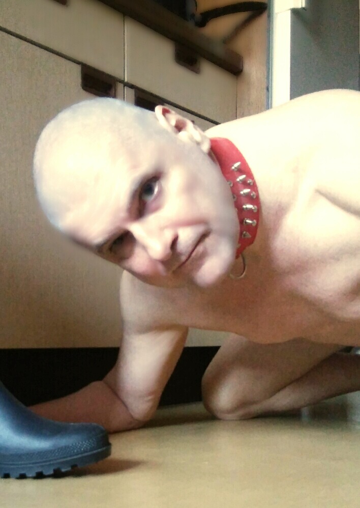 nice bdsm boot slave shaved with collar