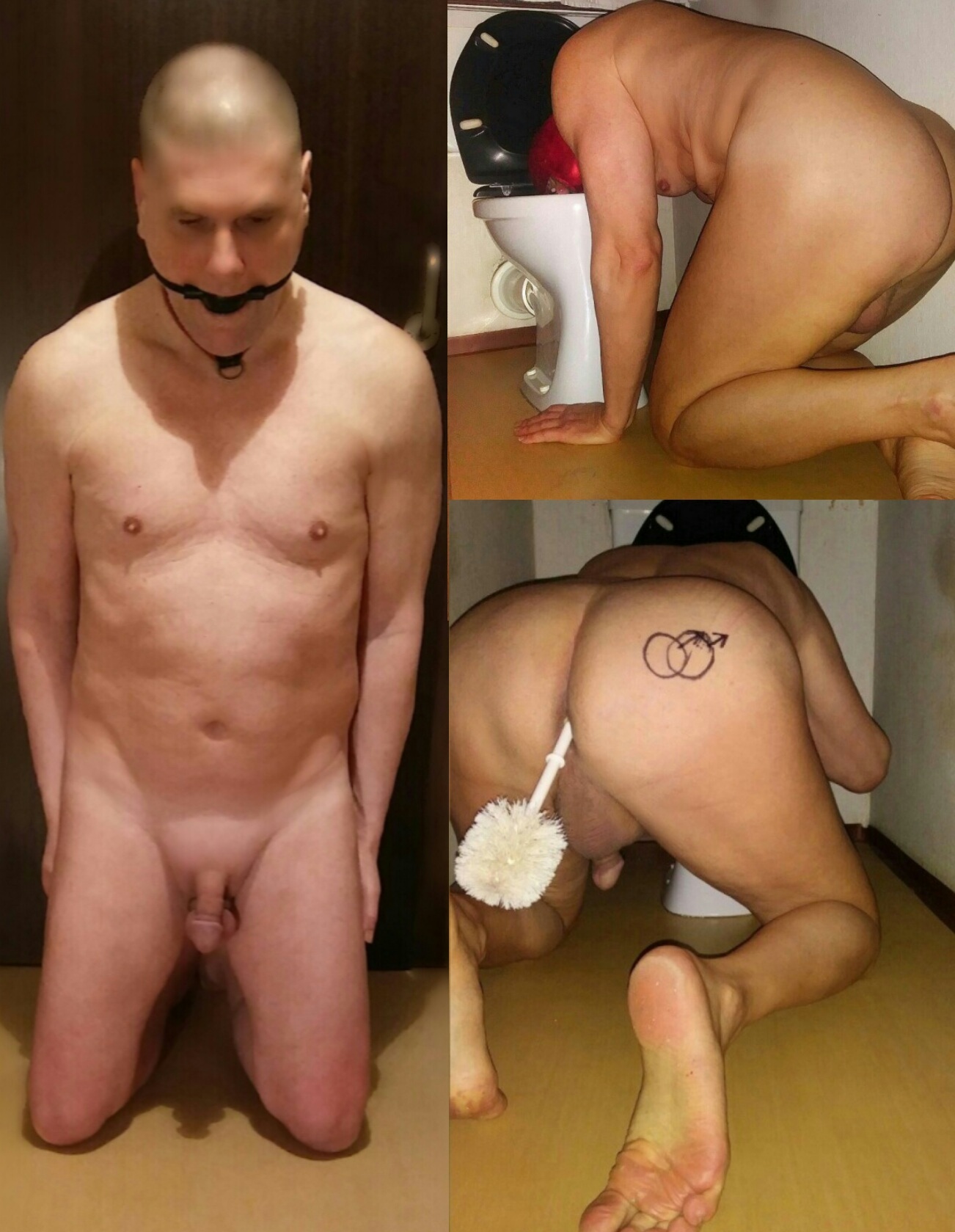 mistress naked submissive toilet slave