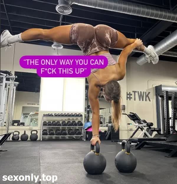 Ludovika Vixen BeautifulNIGHTMARE95 ZetaTheGod