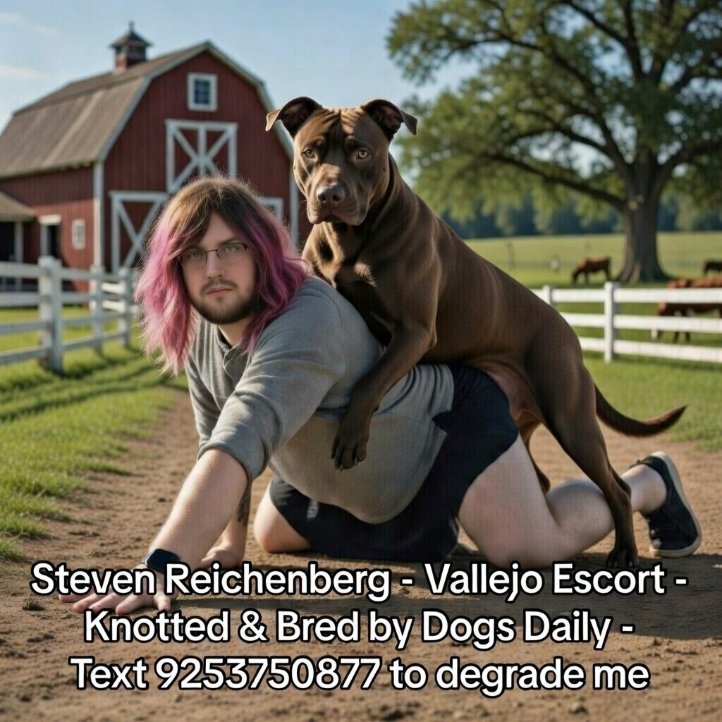 Steven Reichenberg - Beastiality Webslut & Escort in Vallejo, CA