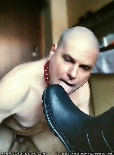 slave with a shaved head licks soles
