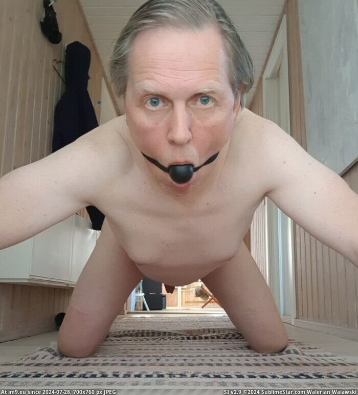Faggot Lars Hviid just nudes exposed on his knees ballgaged