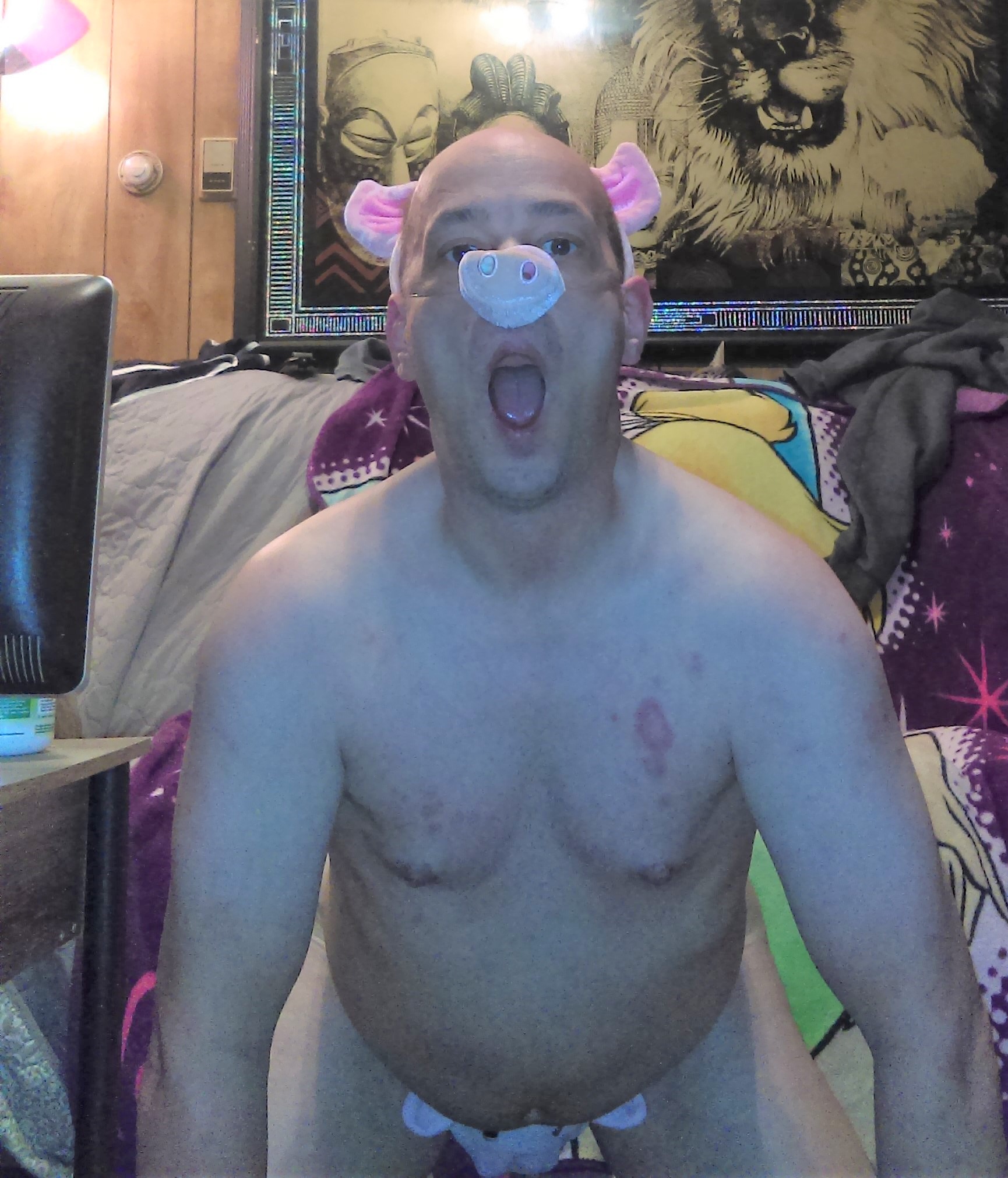 piggy fag don willis mansfield ohio exposed for ruin