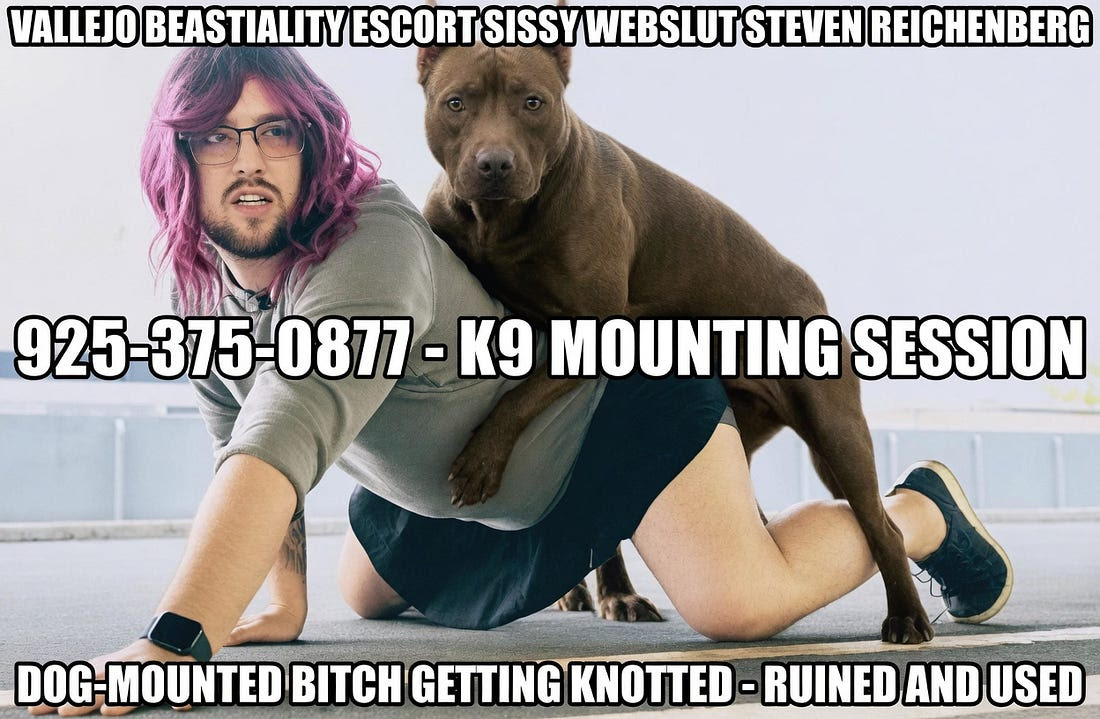 Steven Reichenberg - MAGA Virgin & Beastiality Webslut